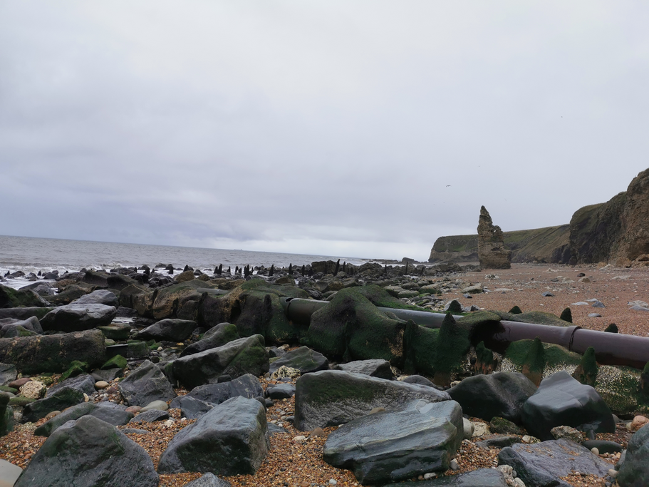 IMG_20210830_133222-1